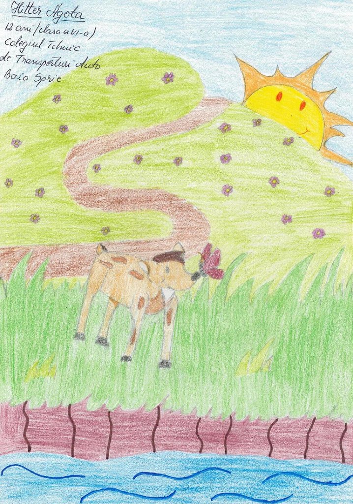 90_Hitter Agota_CT Transp B Sprie_Gimn.JPG